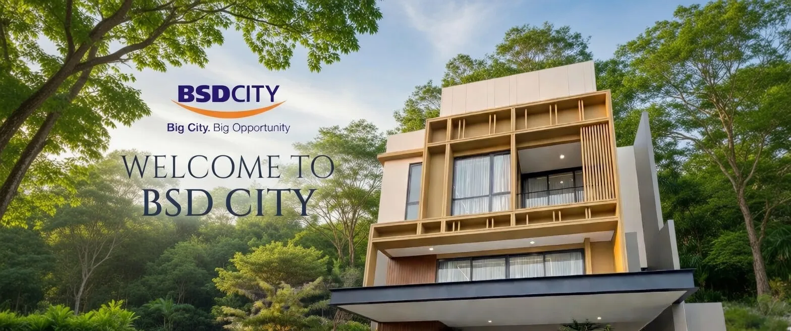 BSD City Environment