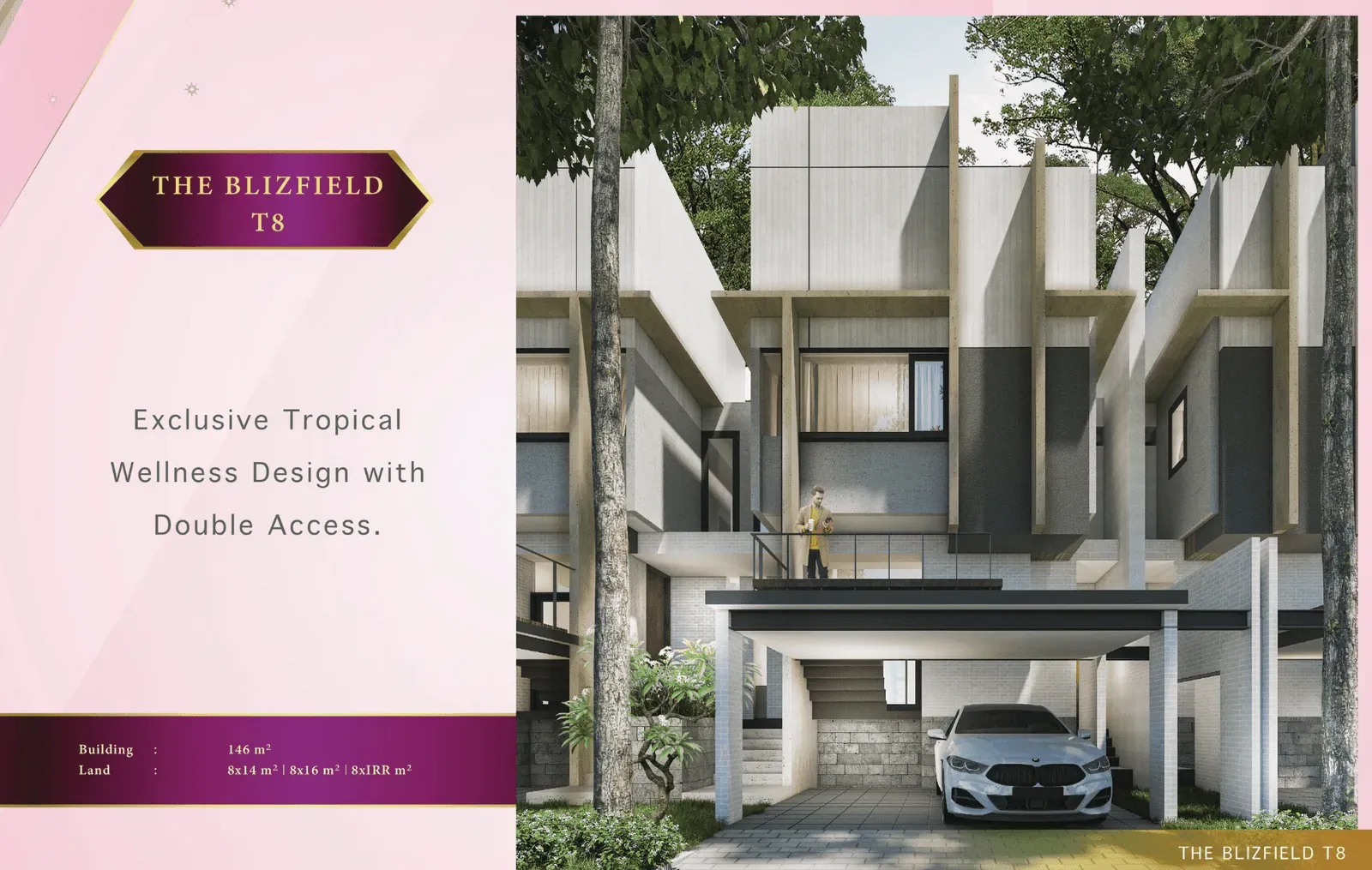 The Blizfield slide 1