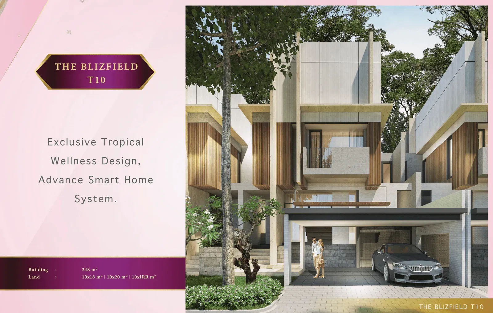 The Blizfield slide 7