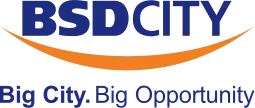BSD City Logo